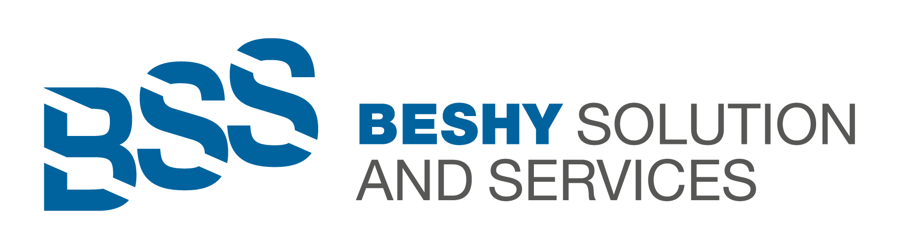 BSS Logo